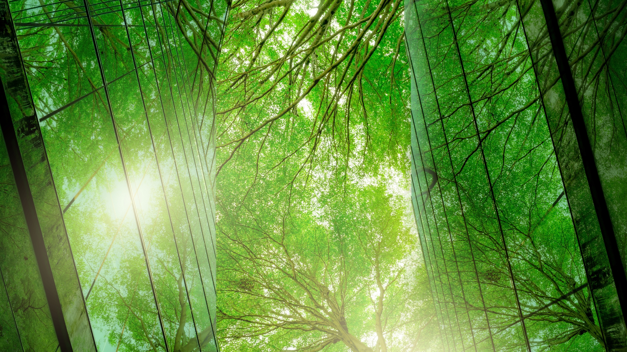 Leading Sustainable Lifting: Our 2026 Sustainability Update