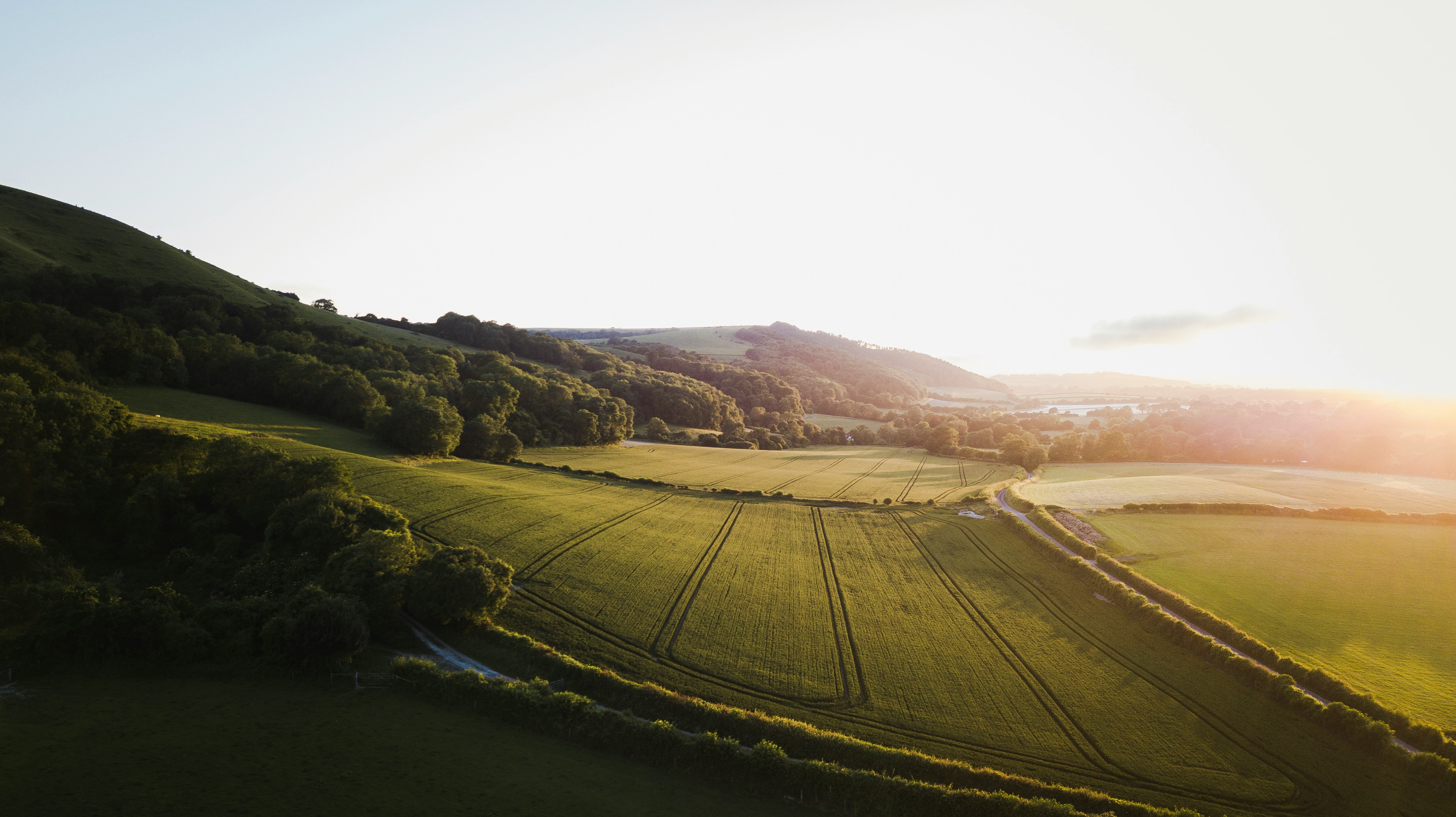 Cadman Cranes Achieves Net Zero for Scope 1 and 2 Emissions